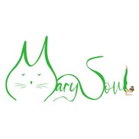 MarYSoulyoga logo - Similar company to Bodycloud - Il Benessere Alla Portata Di Tutti