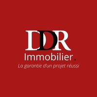 DDR IMMOBILIER logo - Similar company to Que Bola