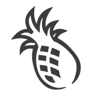 Pineapple Graphics - Grafische Vormgeving