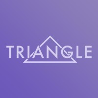 Triangle Management Services logo - Similar company to Triangle Programming & Consulting