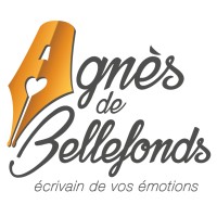 ECRIVAIN DE VOS EMOTIONS logo - Similar company to Syndicat National Des Prestataires Et Conseils En Écriture