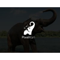 Pixelkari.com logo - Similar company to Fazier