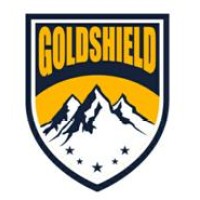 Weifang Goldshield Tire Co.,Ltd - Goldshield Fronway logo - Similar company to Weifang Goldshield Tire Co.,Ltd