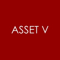 Asset V logo - Similar company to Asset-V