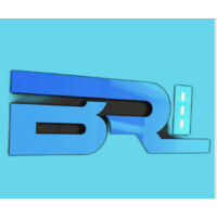 Blue Rocky Logistics logo - Similar company to Logistic Yard Maroc