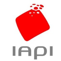 IAPI - Informatique Automatisme Prestations Industrielles logo - Similar company to Stm24