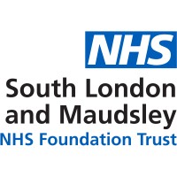 Maudsley Digital Lab logo - Similar company to Maudsley Simulation