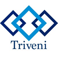 Triveni Polytech Pvt Ltd logo - Similar company to Triveni Polychem
