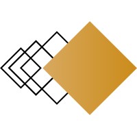 Dynamic Intelligence Solutions logo - Similar company to Riskaware
