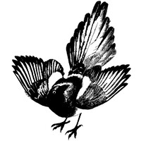 Magpie Reclamations Llc