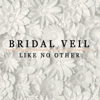 Bridal Veil Egypt logo - Similar company to Haitham Mustafa Chartered Accountants