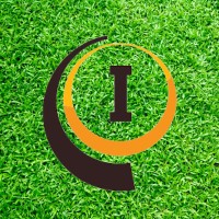 Incredible Infotech logo - Similar company to iDeveloping Solutions