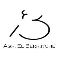 El Berrinche logo - Similar company to Irrigate