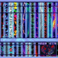 EMBL Imaging Centre logo - Similar company to Societat Catalana De Nanociència I Nanotecnologia