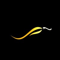 Pimenta Estética logo - Similar company to Leedsay S/A