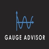 Gauge Advisor logo - Similar company to Uniride