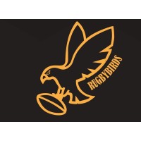 Rugby Birds logo - Similar company to Tds-Group