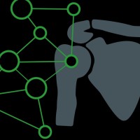 Schoudernetwerken Nederland logo - Similar company to Fysiodomstad