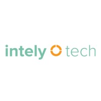 Intely Tech FZCO logo - Similar company to Ignesa