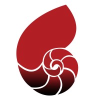 Bella Esprit by US Tamex logo - Similar company to Beiagency