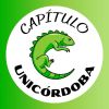 ANEIAP Unicórdoba logo - Similar company to Aneiap Udistrital