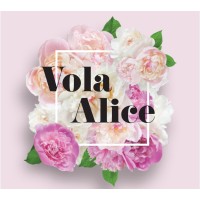 Vola Alice Oy logo - Similar company to Triplan Oy