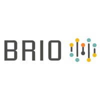 BrioPartners logo - Similar company to Fanalytical