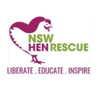 NSW Hen Rescue