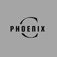 Phoenix Consult logo - Similar company to Phoenix Consult Limited