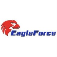 EagleForce Associates Inc. logo - Similar company to Ms It Solutions