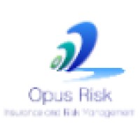 Opus Risk logo - Similar company to Avenue Insurance Partners