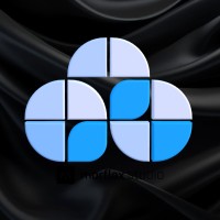 Extended Synaptic logo - Similar company to Bem Stmik Sinar Nusantara
