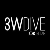3W Dive - Divemaster & Coral farming internship. logo - Similar company to Divemaster Internship Tenerife
