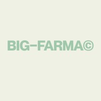 BIG-FARMA (coming soon) logo - Similar company to Urban Modesty