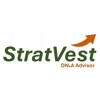 StratVest DN&A Advisor logo - Similar company to Whale Consultancy