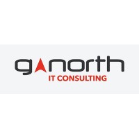 Great Northern Consulting, LLC logo - Similar company to Relational Technology Solutions