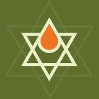 Estrela da Manhã OE logo - Similar company to Flex Major School