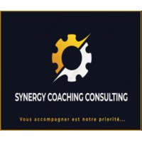 Synergy Coaching Consulting logo - Similar company to E2C Lunel - École De La 2E Chance De Lunel