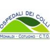 Azienda Ospedaliera Monaldi Cotugno Cto logo - Similar company to Otoclinic