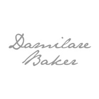 Damilare Baker logo - Similar company to Ckg Construction