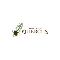 Ante Mijić Quercus logo - Similar company to Milla&Milli