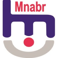 Arabian mnabr co. logo - Similar company to Dub#1