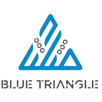 Blue Triangle logo - Similar company to Tegaraty