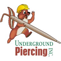 Underground Piercing, Inc. logo - Similar company to Vault 101 Limited