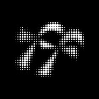Flying Focus logo - Similar company to Matzwart