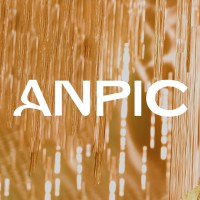 ANPIC logo - Similar company to Poliforum León