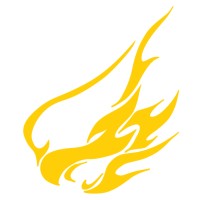 New Dragons Dragon Boat Team logo - Similar company to Exomis Design + Development