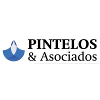 Pintelos & Asociados logo - Similar company to Solegia