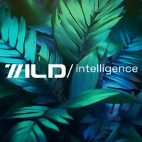 Wild Intelligence logo - Similar company to Coders Community (Formerly Call For Coders®)