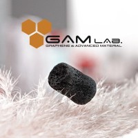 GAMlab (Graphene and Advanced Materials Laboratory) logo - Similar company to Metallurgical Engineering Solutions